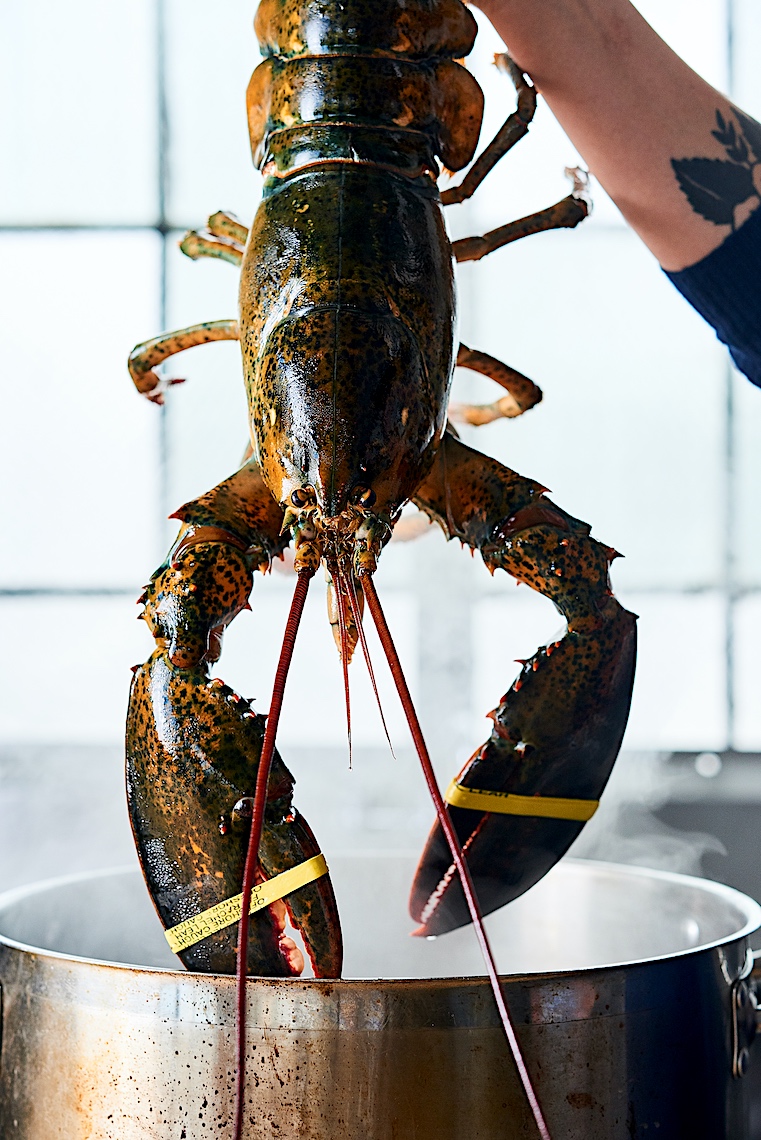Lobster cooking in pot commercial food photographer Sarah Flotard 